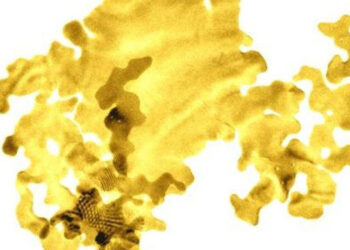 Zwei Atome dick sind die dünnsten Goldplättchen der Welt.