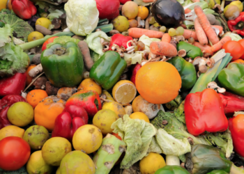 Bis dato ist kein Fall bekannt, in dem eine Infektion durch Lebensmittel stattfand.