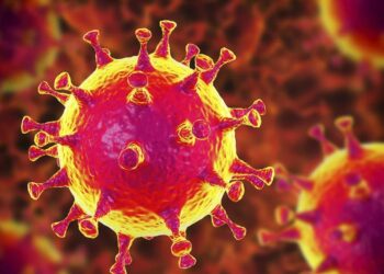 Die Ausbreitung des Corona-Virus nutzen Kriminelle aus.