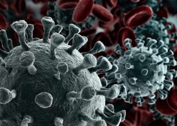 Höchstwert! RKI meldet 23.542 Corona-Neuinfektionen