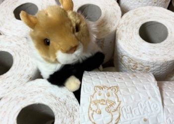 Hakle bringt Klopapier für Hamsterkäufer