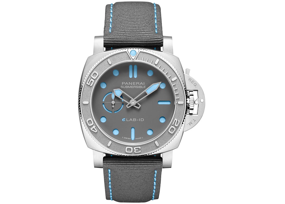 Pam1225_Cat_Front_B_2153082 Pam1225_Cat_Front_B_2153082