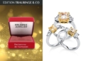 ErlebnisJuwelier_ERLEBNIS_Verlobung_Diamond_Group_Ebenen_Version_2