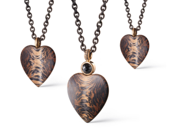 Einbruch: Schwab-Kollektion gestohlen