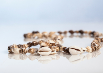 Steinzeitschmuck_Meeresschnecken