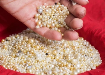 Naturperlen aus Bahrein © DANAT