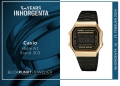 BPJ_Casio_50_Jahre_Inhorgenta_Aussteller_2024