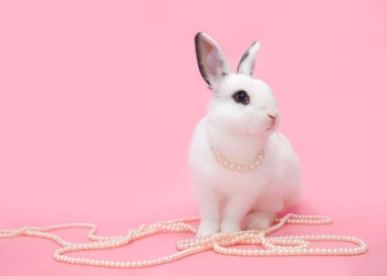 Oster Angebot Schmuck Juwelier