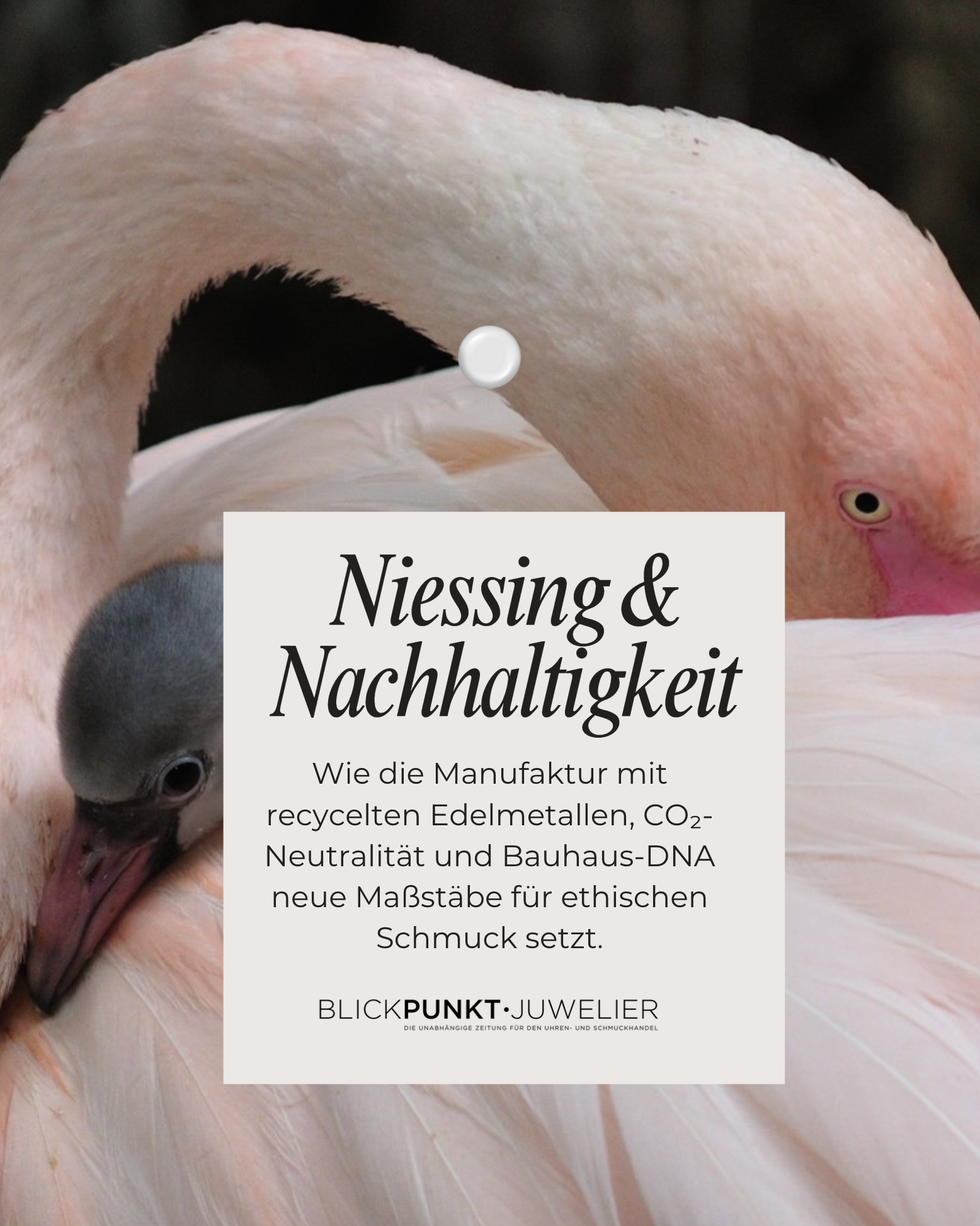 Niessing Nachhaltigkeit 2025 Niessing Nachhaltigkeit 2025