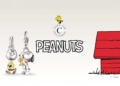 Thomas Sabo Peanuts Charms