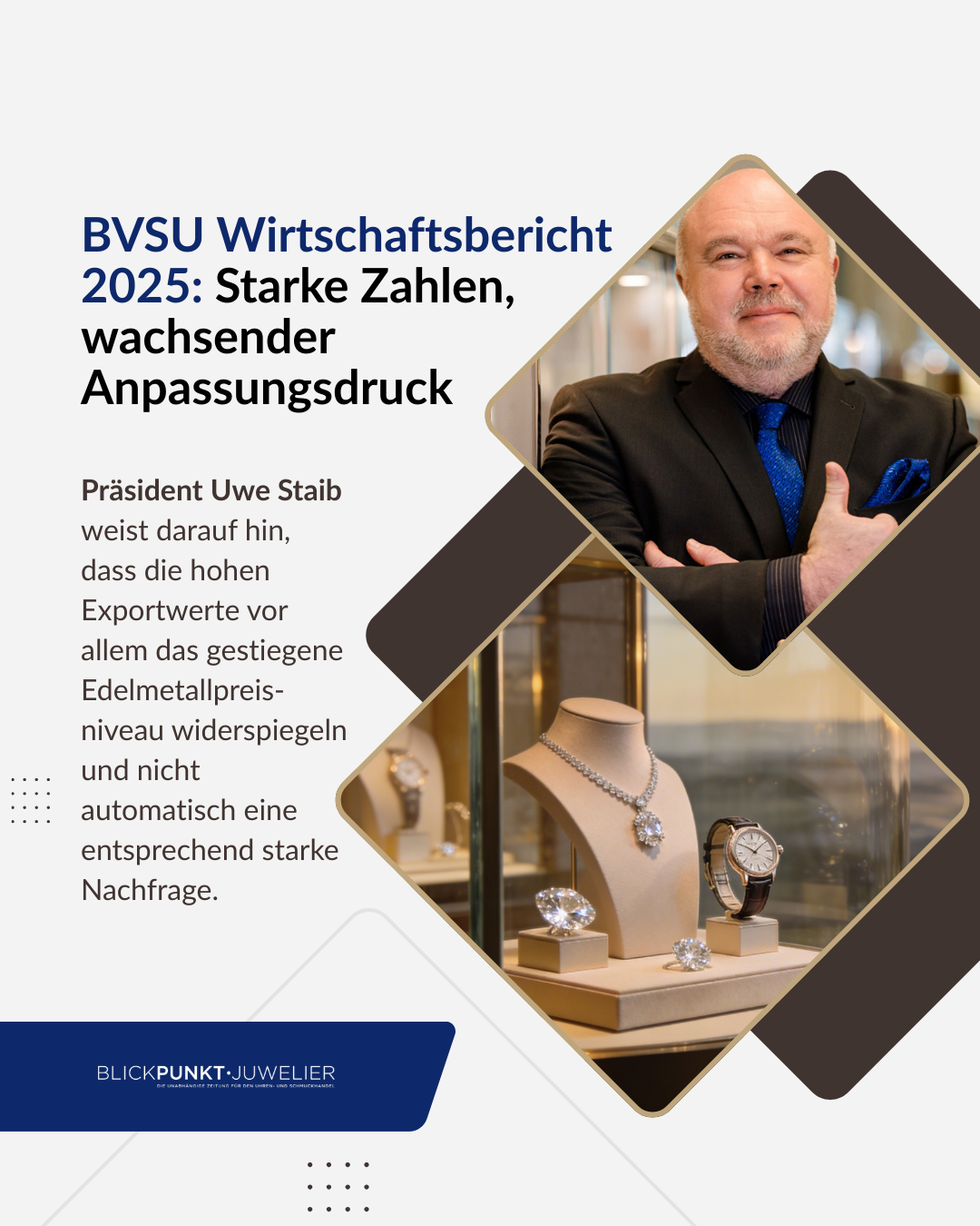 BVSU Wirtschaftsbericht 2025 neu