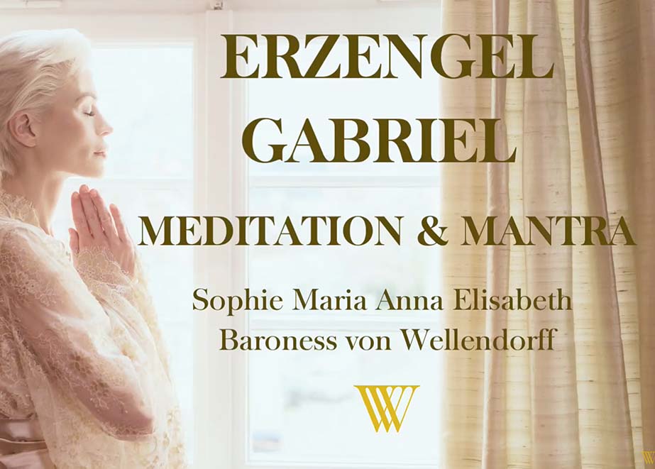 Wellendorff Klage Barnoess Wellendorff Fall