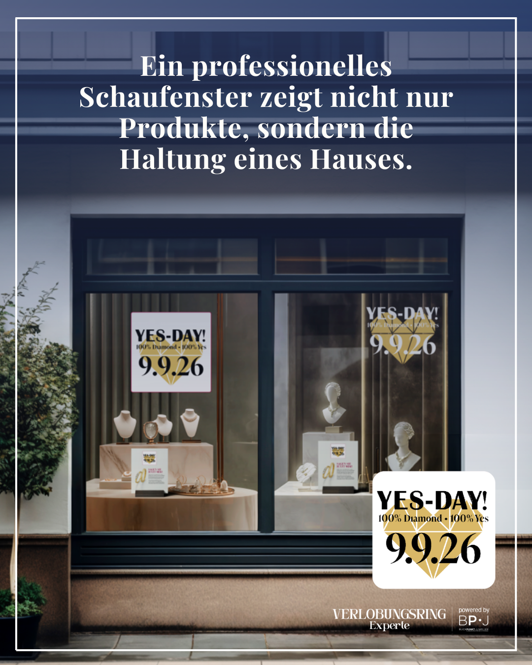 Verlobungsring Experte Schaufenster Präsentation